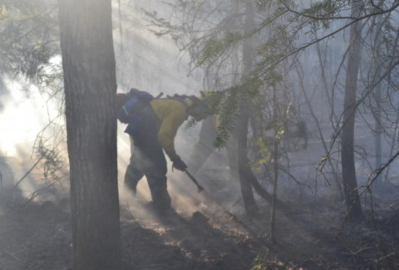 Picture 86 Pagami Creek Fire Fighter Image Courtesy http://www.inciweb.org/