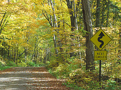 Superior National Forest road